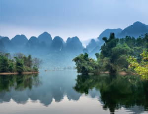 dy涨粉自助下单平台
